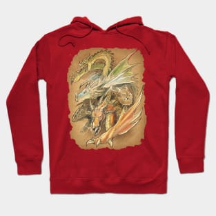 Let there be Dragons Hoodie